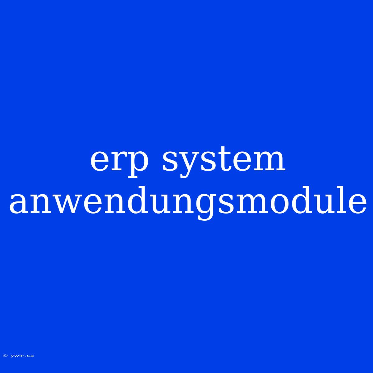 Erp System Anwendungsmodule