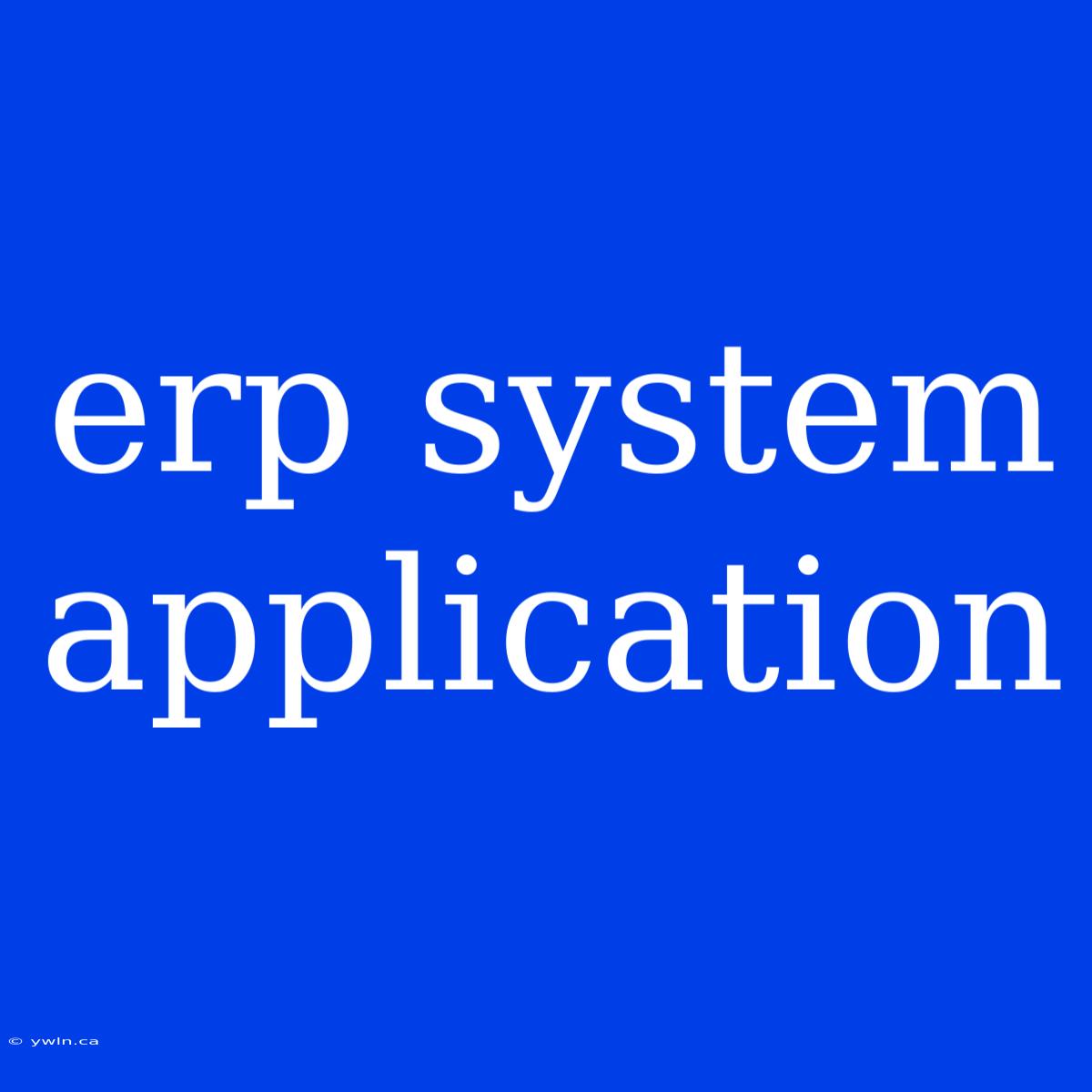 Erp System Application