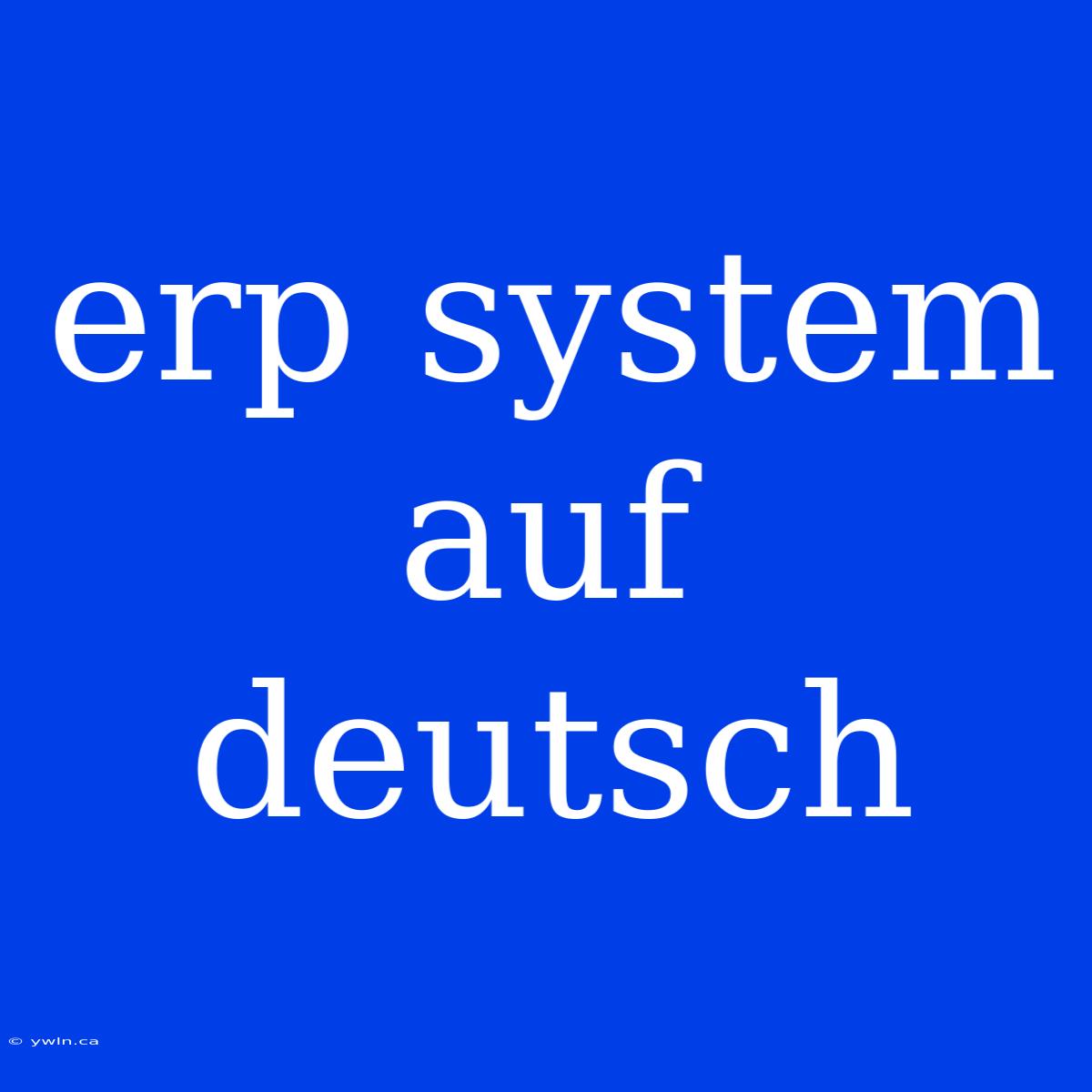 Erp System Auf Deutsch