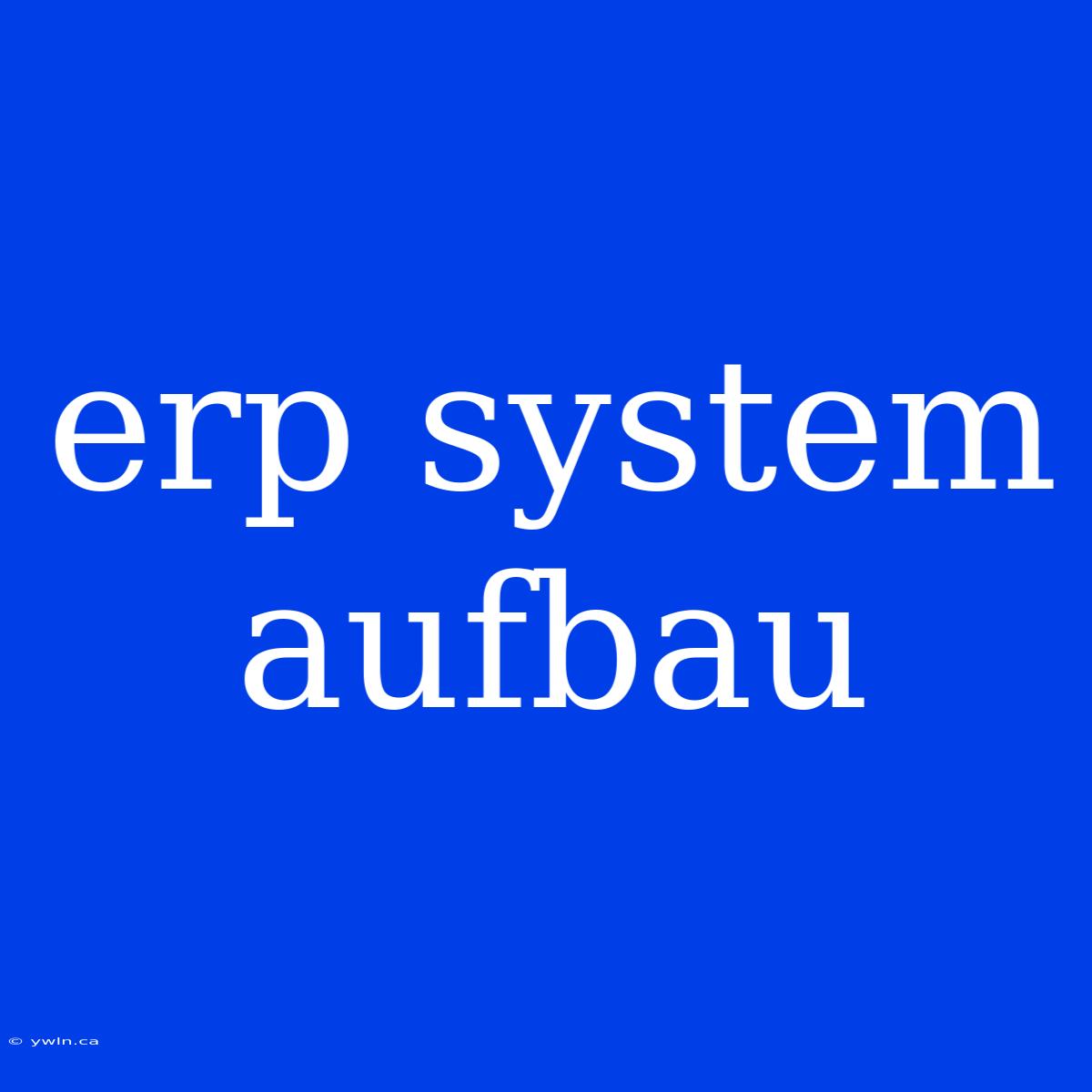 Erp System Aufbau