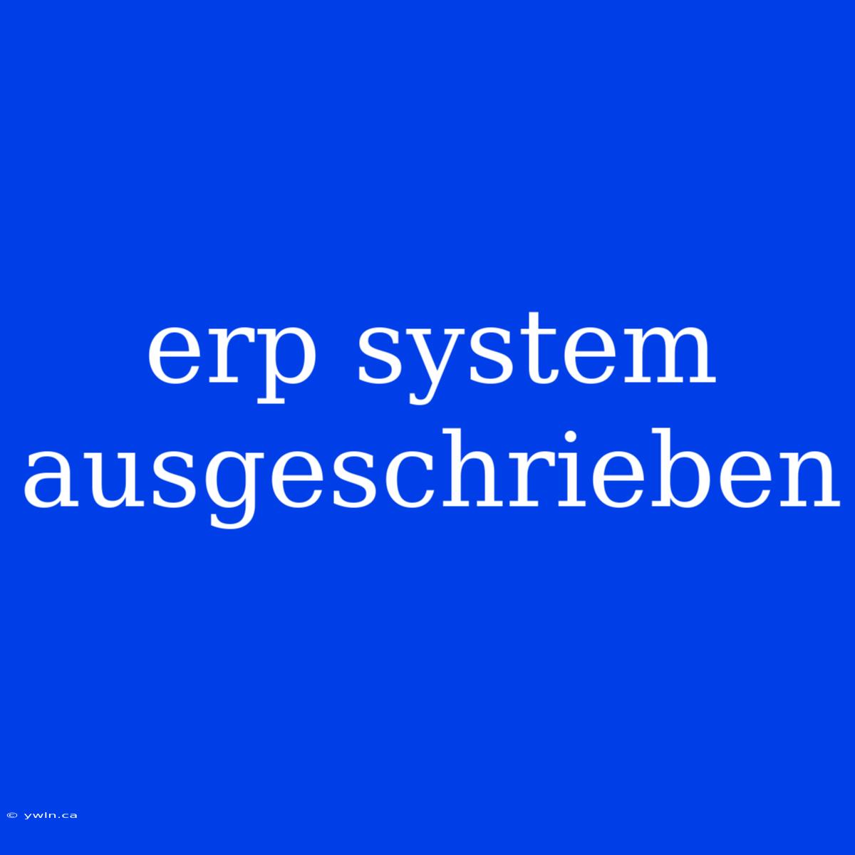 Erp System Ausgeschrieben