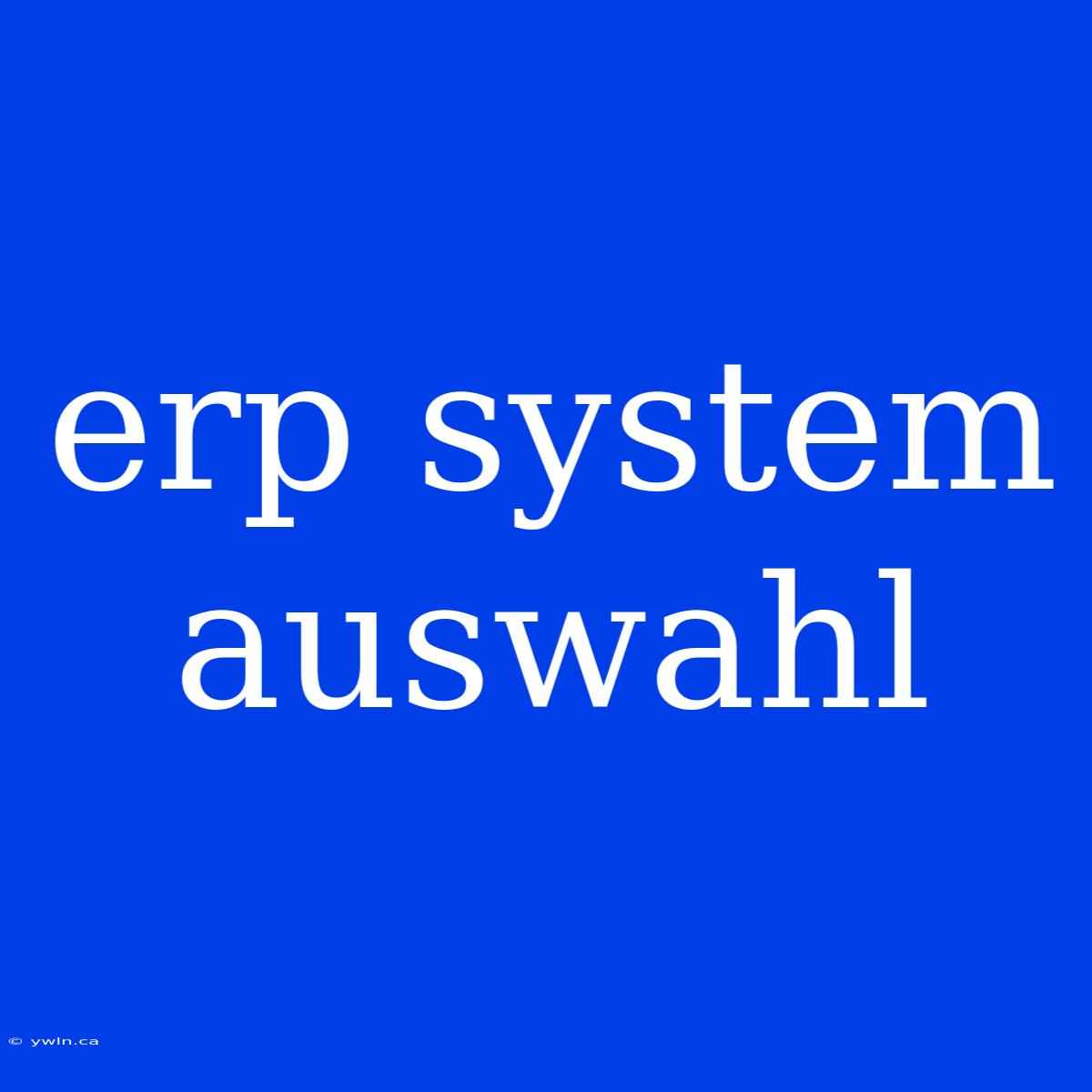 Erp System Auswahl