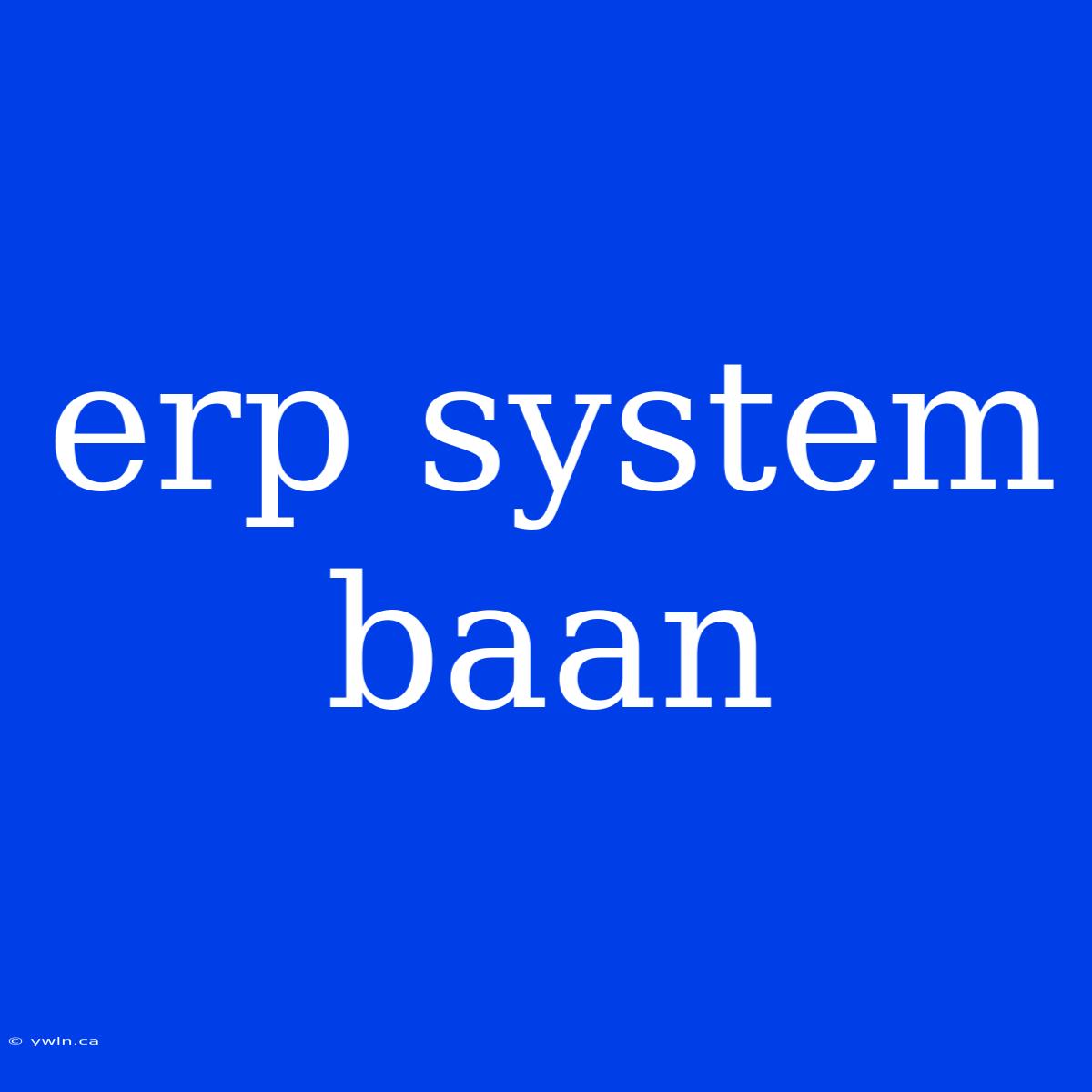 Erp System Baan