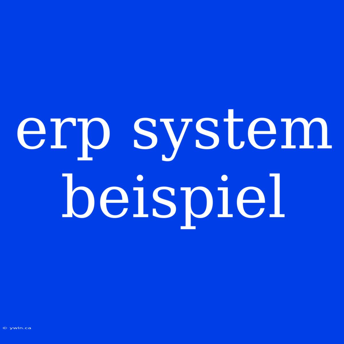 Erp System Beispiel