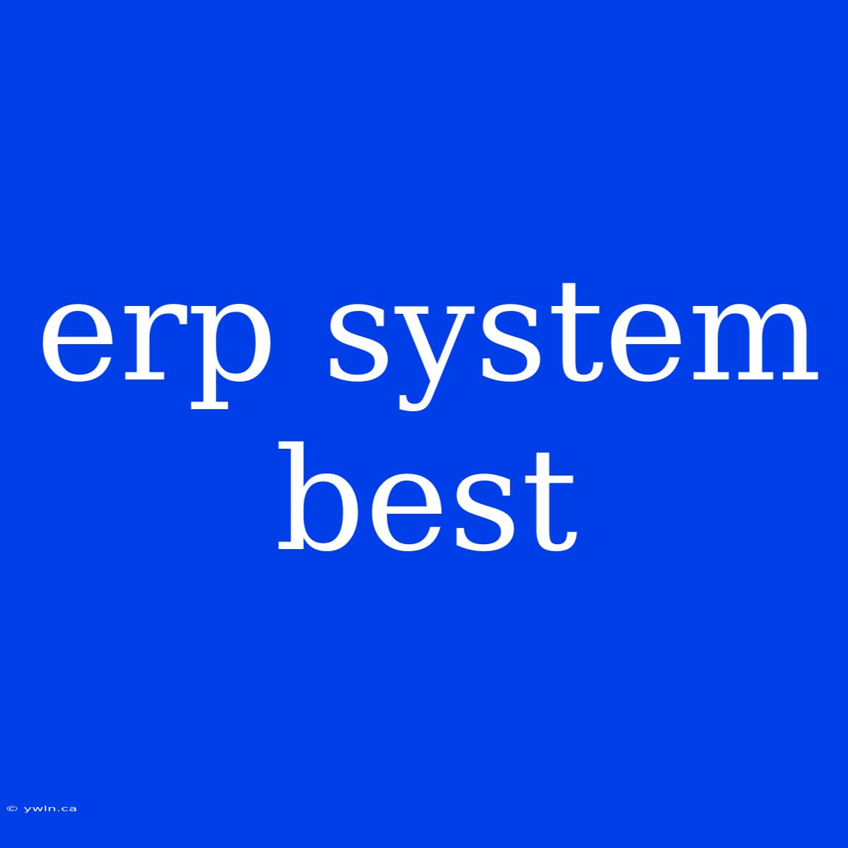 Erp System Best