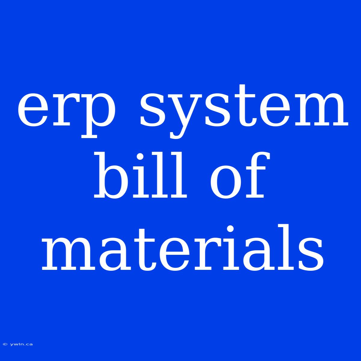 Erp System Bill Of Materials