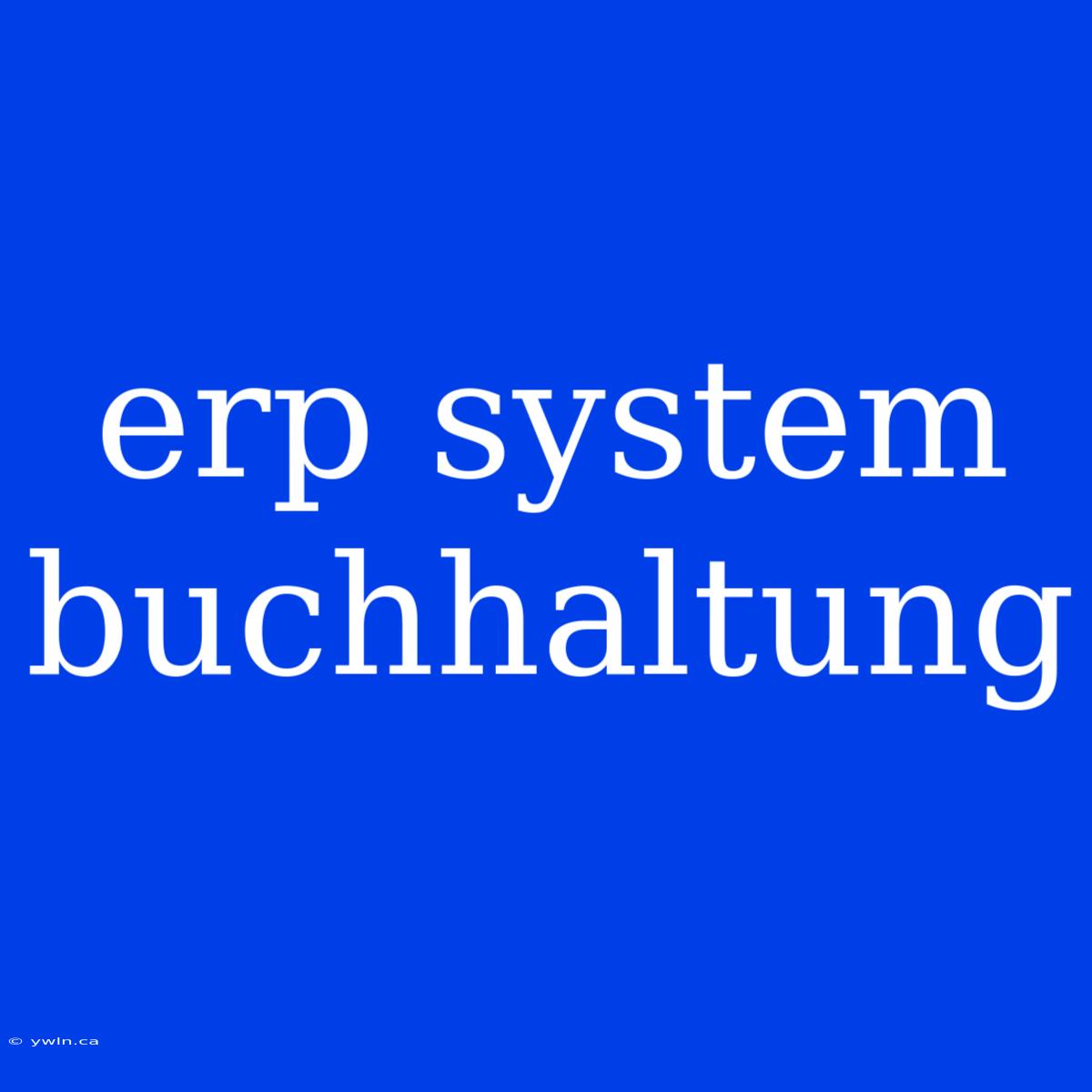 Erp System Buchhaltung