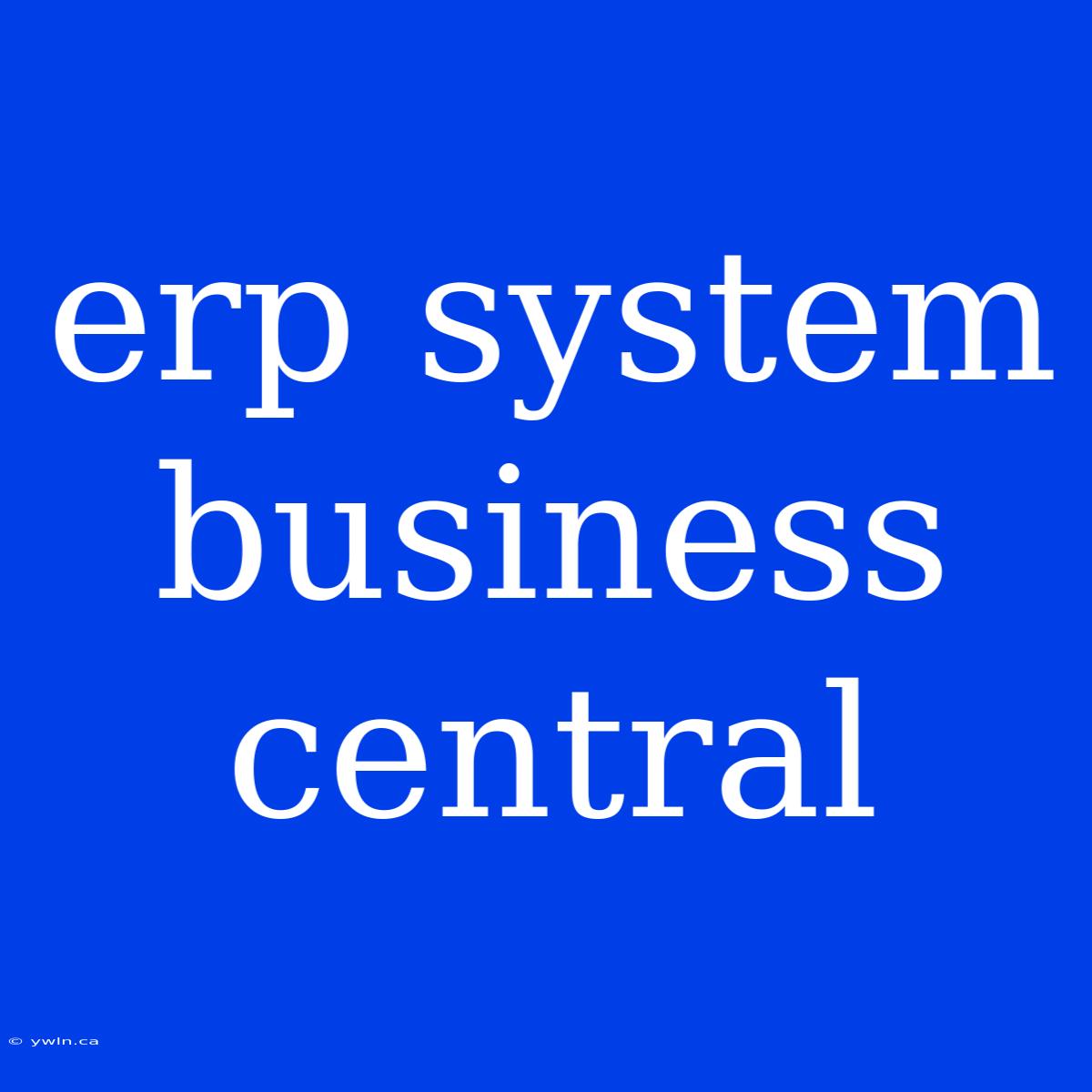 Erp System Business Central