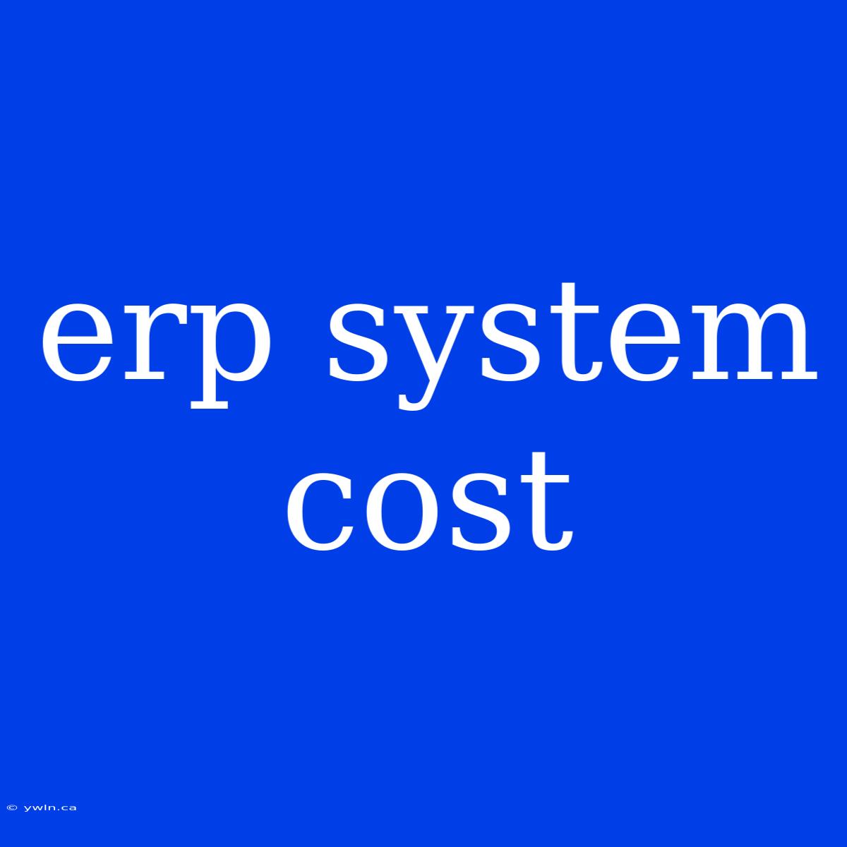 Erp System Cost