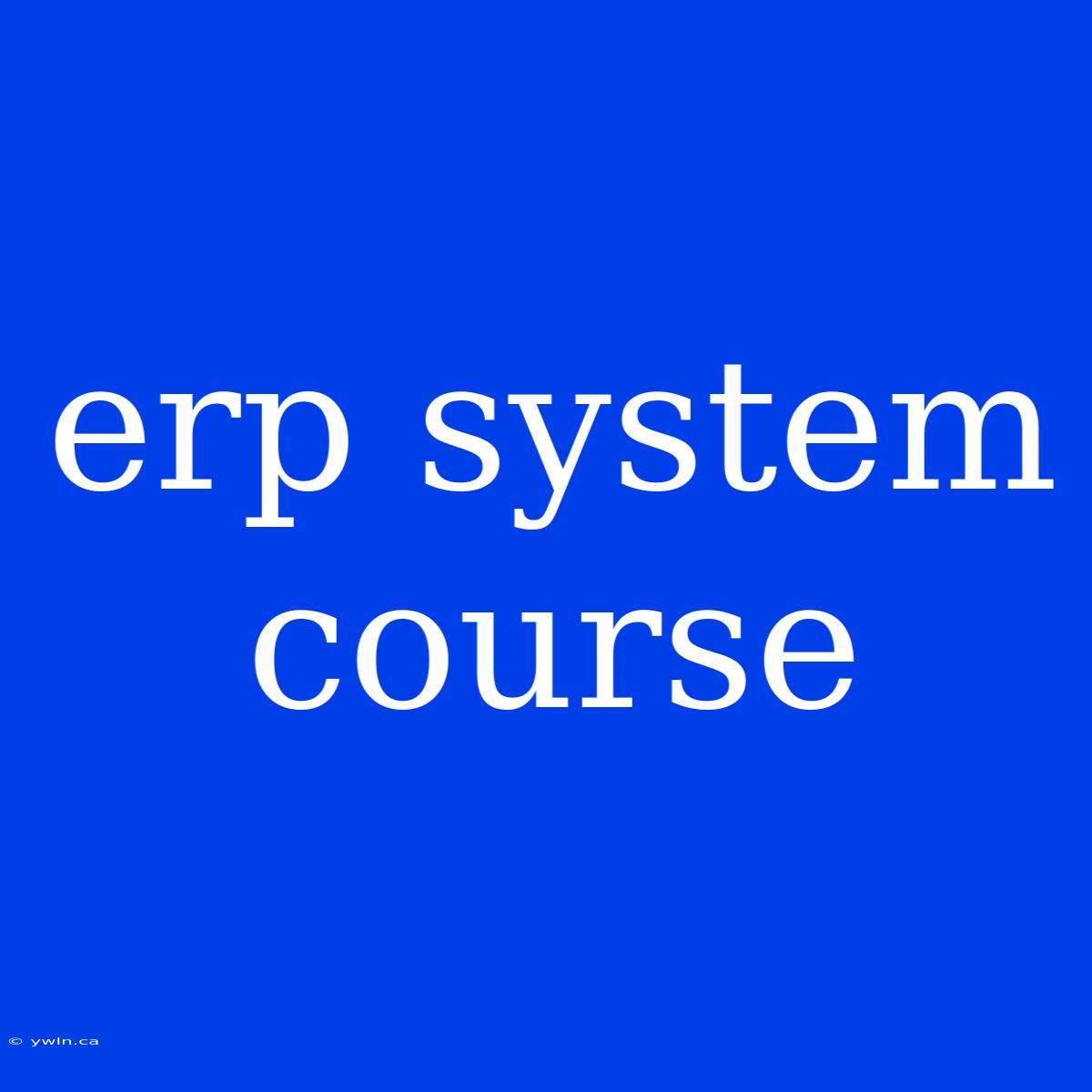 Erp System Course