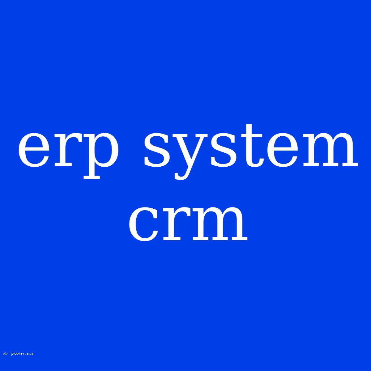 Erp System Crm