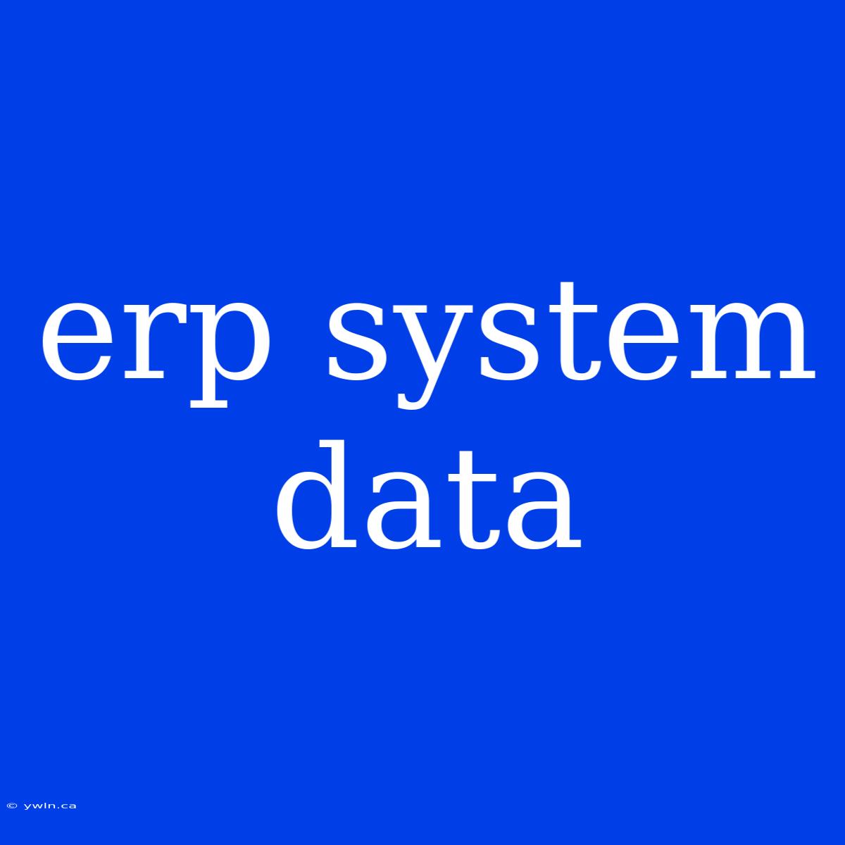 Erp System Data