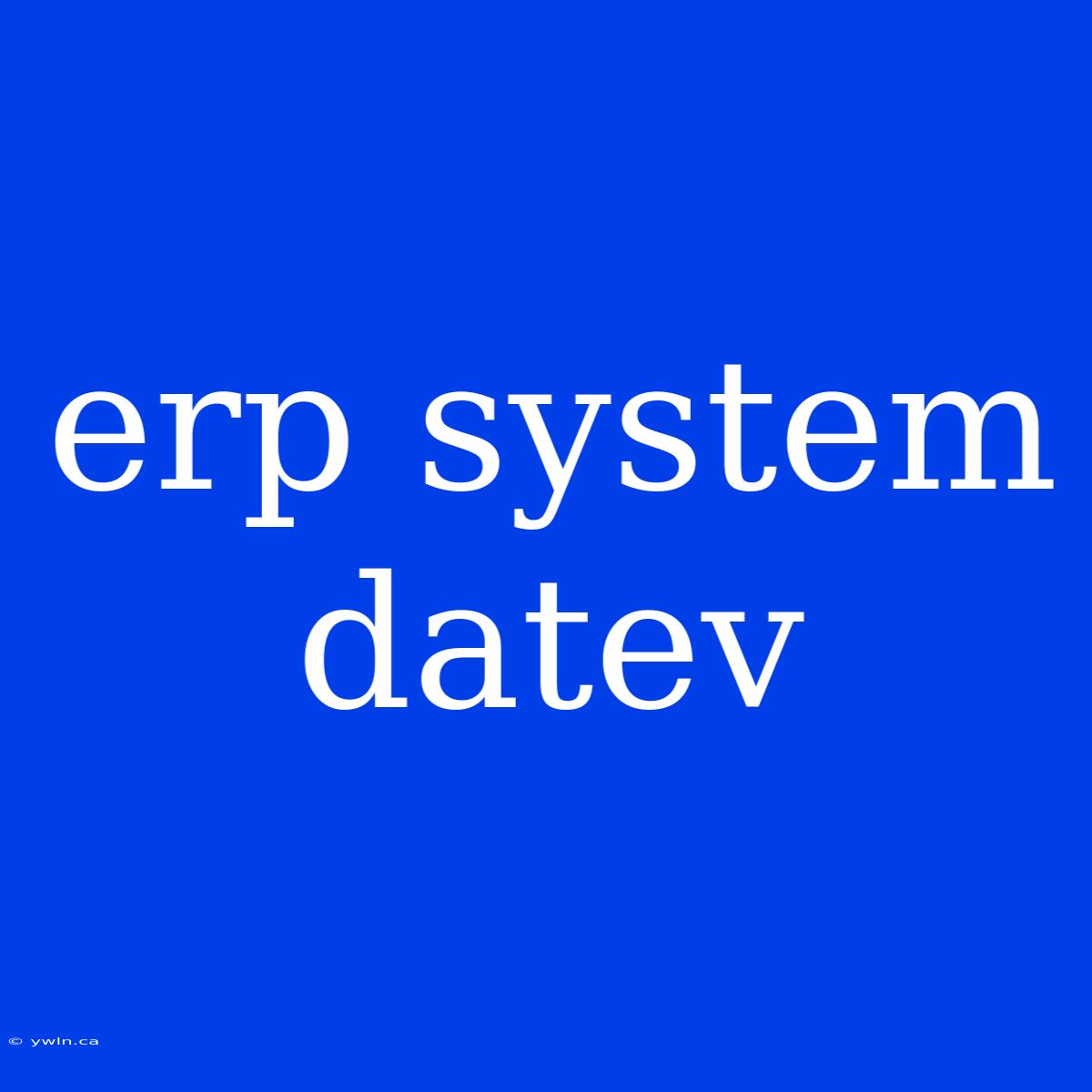 Erp System Datev