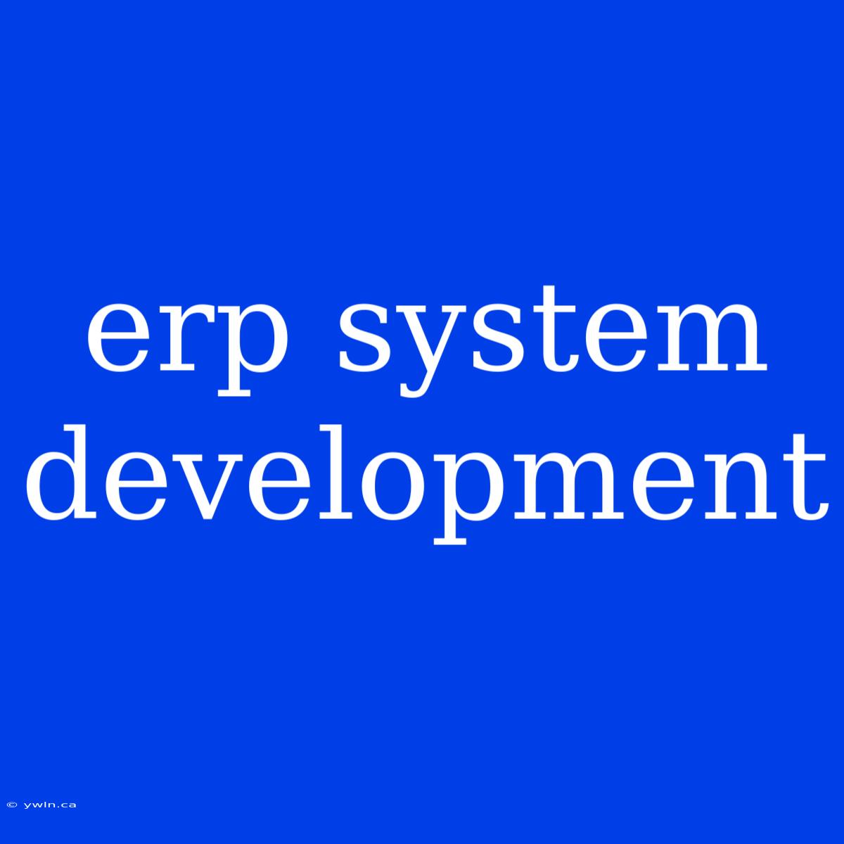 Erp System Development