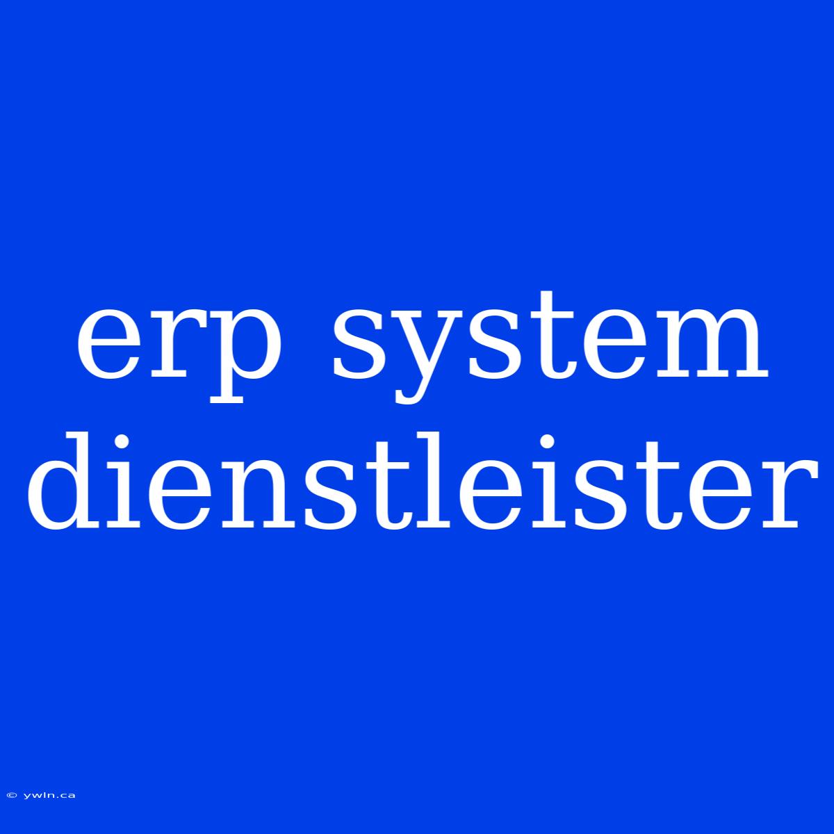 Erp System Dienstleister