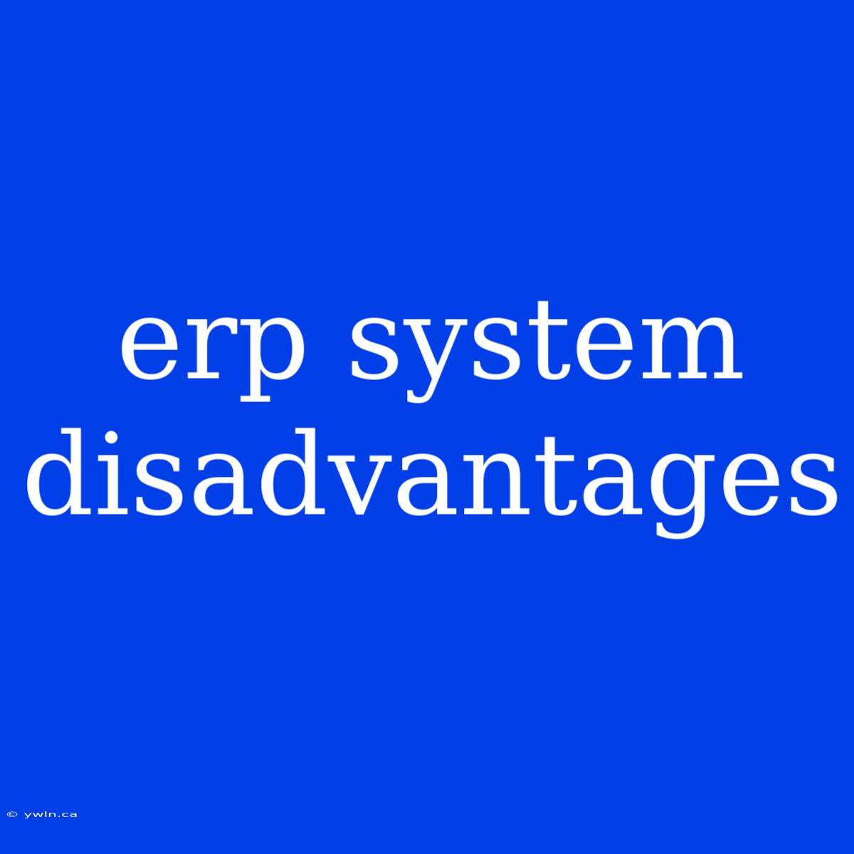 Erp System Disadvantages