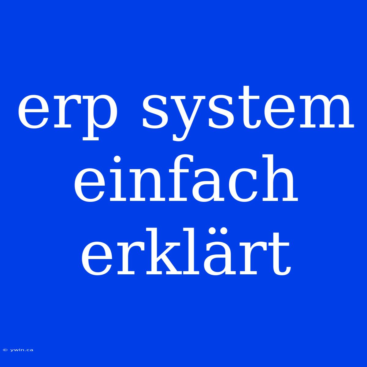 Erp System Einfach Erklärt