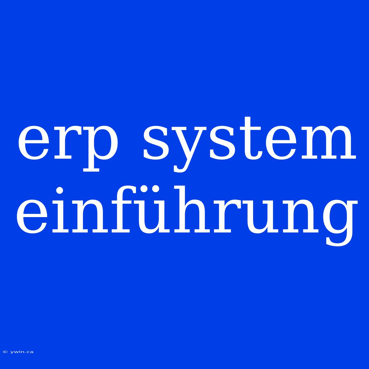 Erp System Einführung