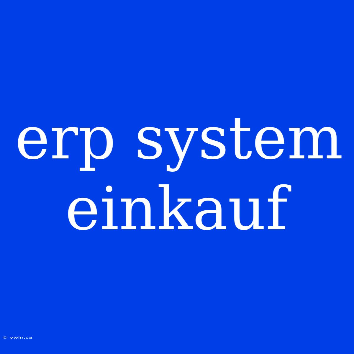 Erp System Einkauf