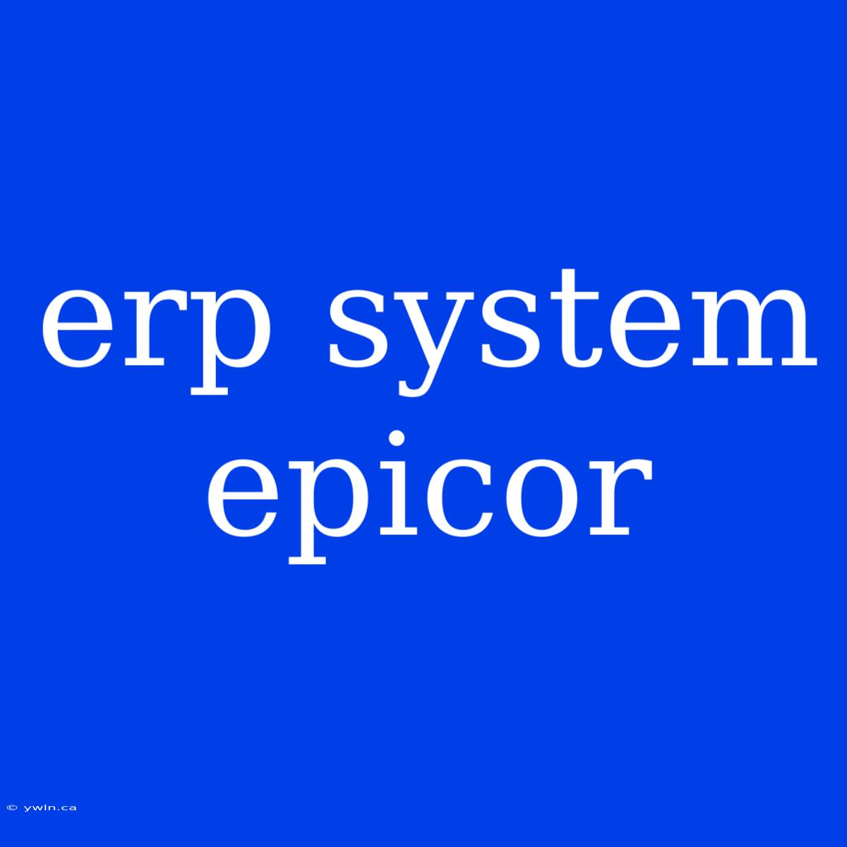 Erp System Epicor