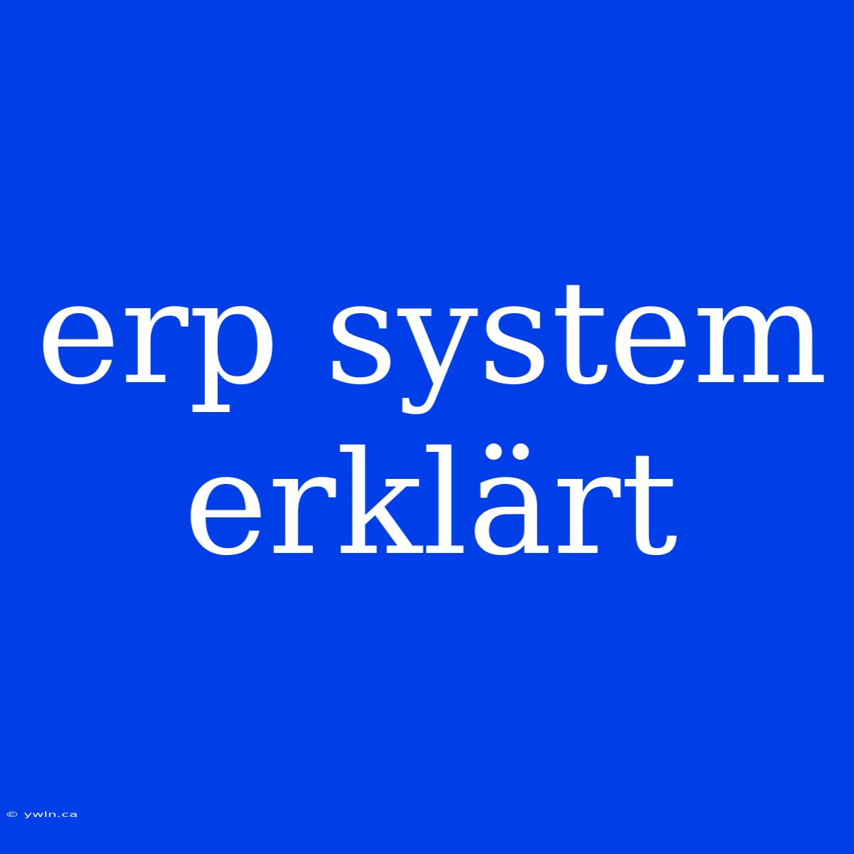 Erp System Erklärt