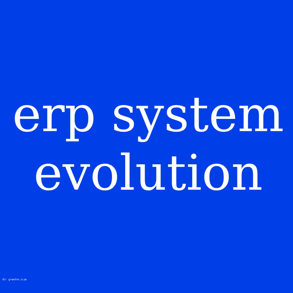 Erp System Evolution