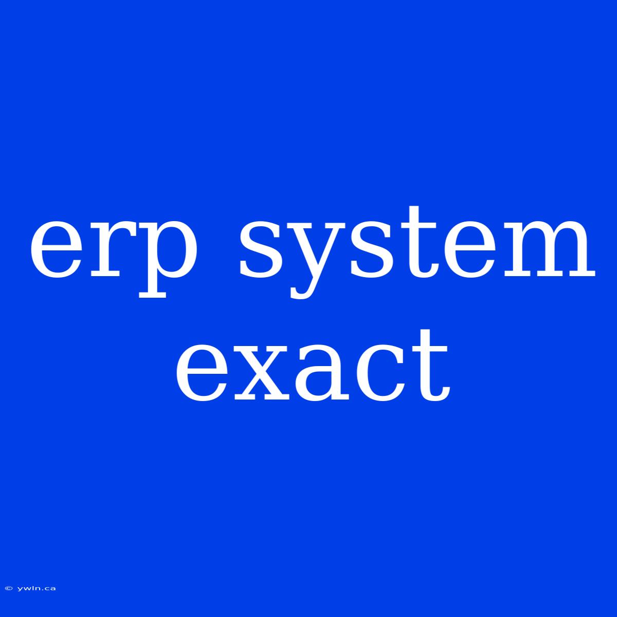 Erp System Exact