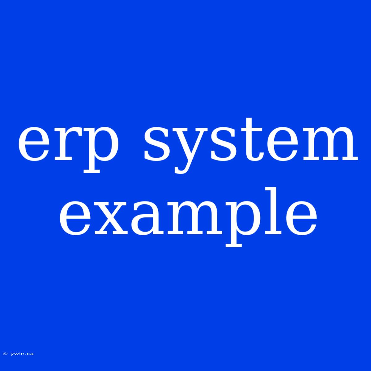 Erp System Example