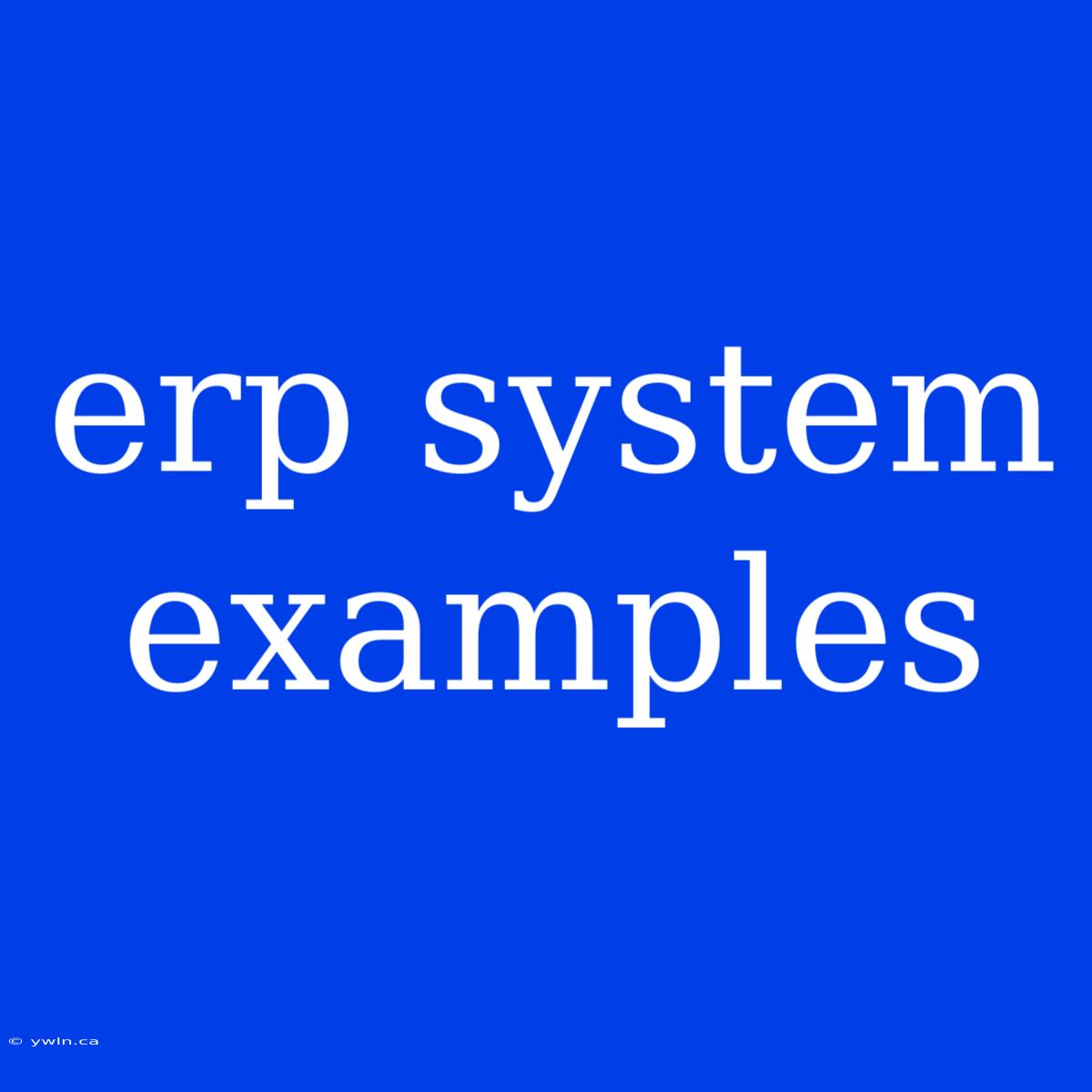 Erp System Examples