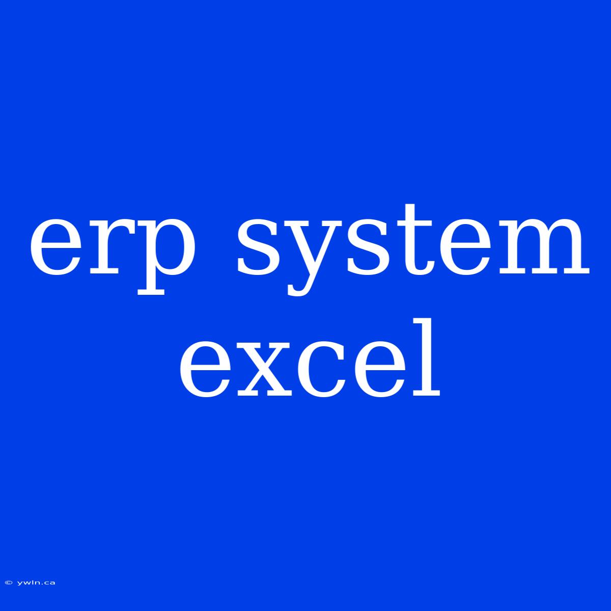 Erp System Excel