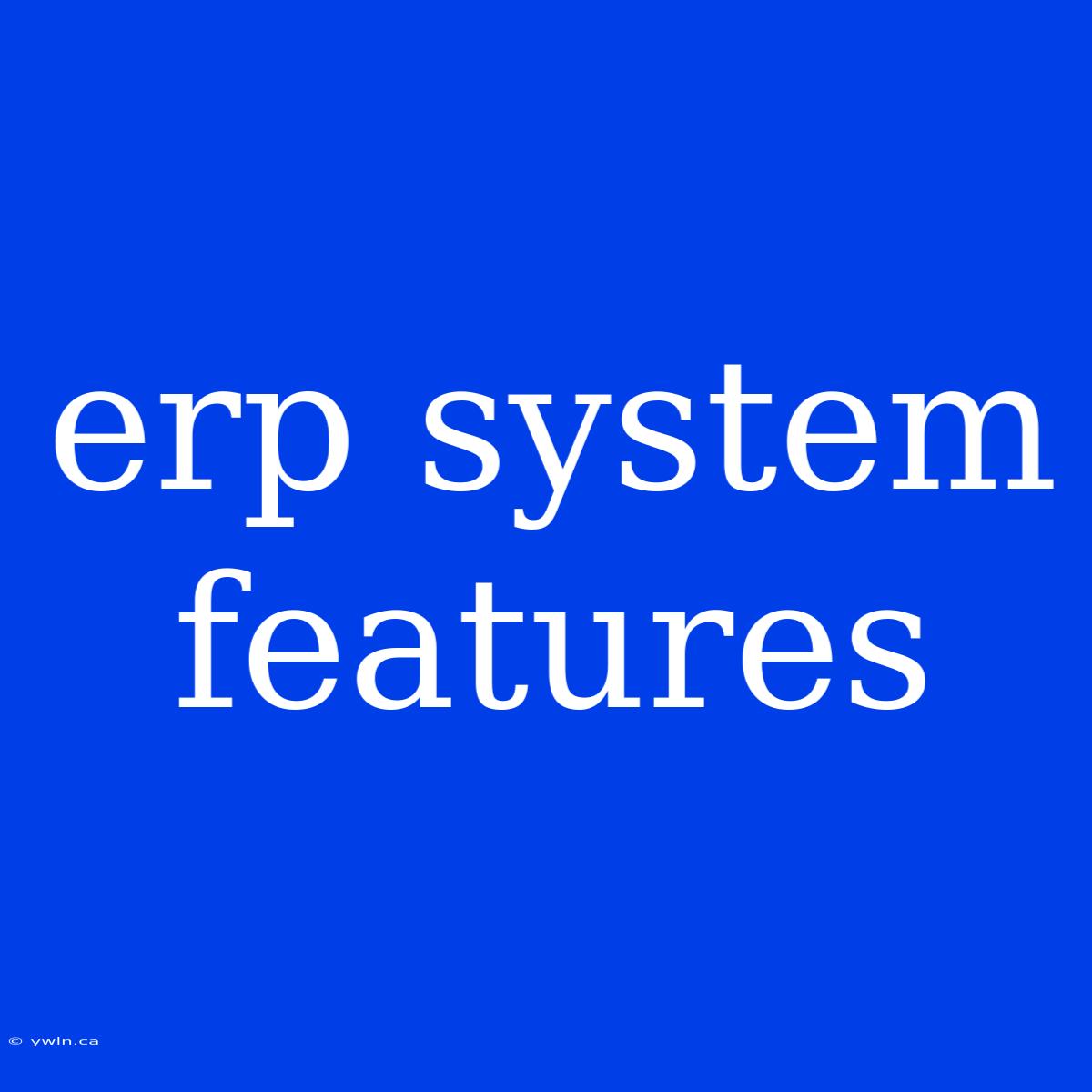 Erp System Features