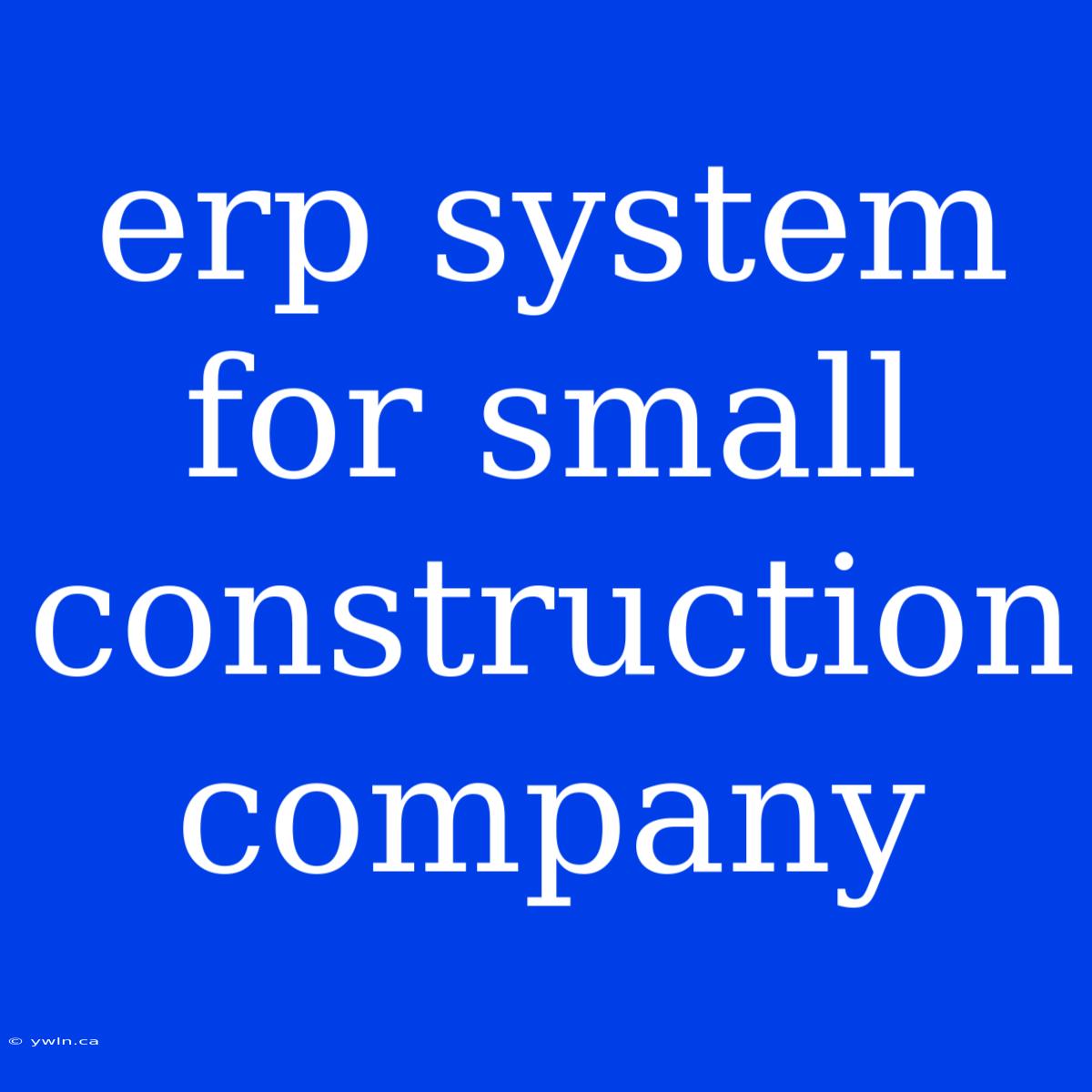 Erp System For Small Construction Company