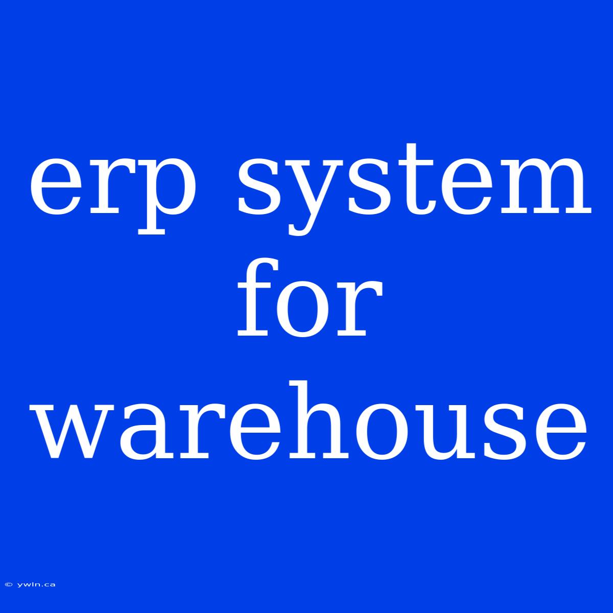 Erp System For Warehouse