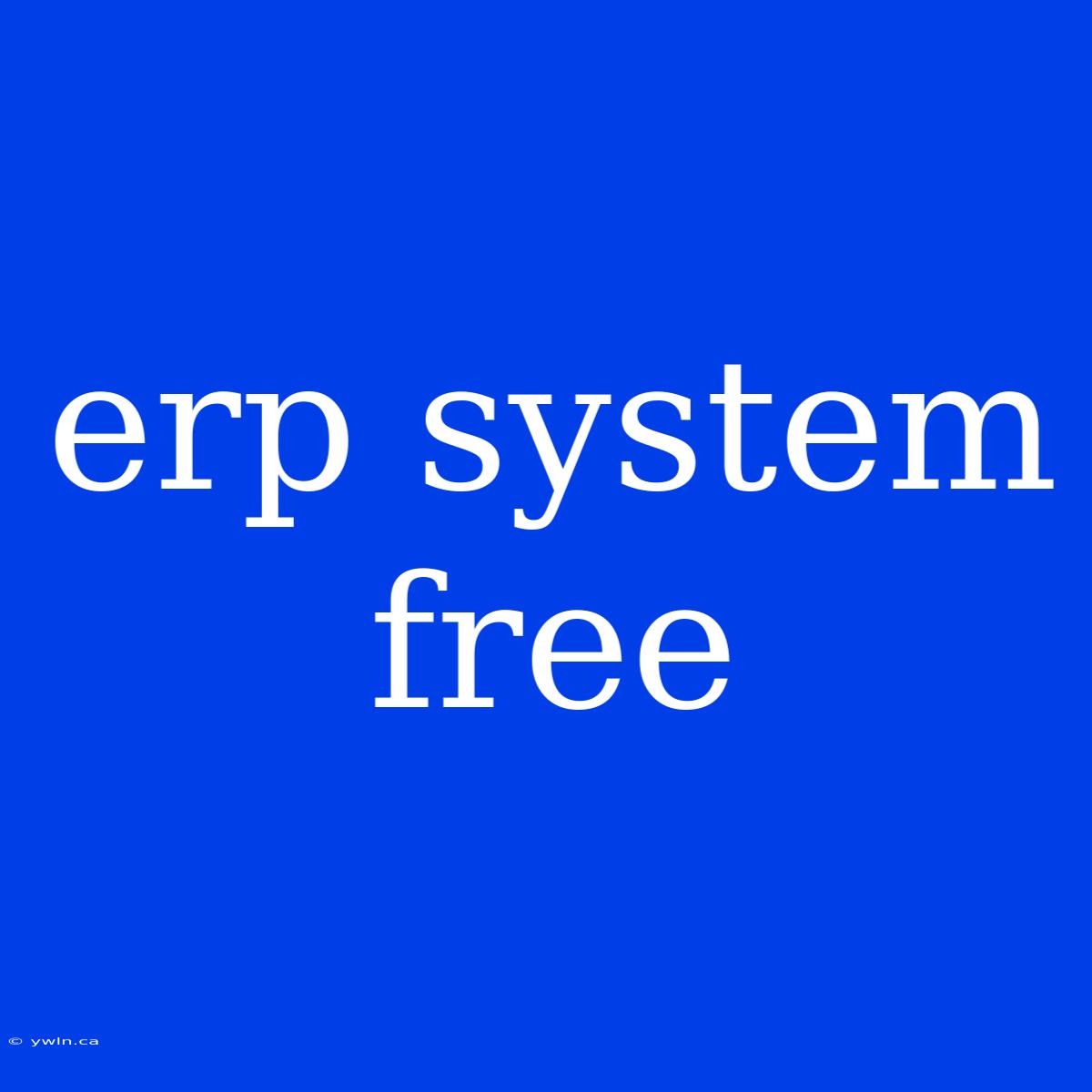 Erp System Free