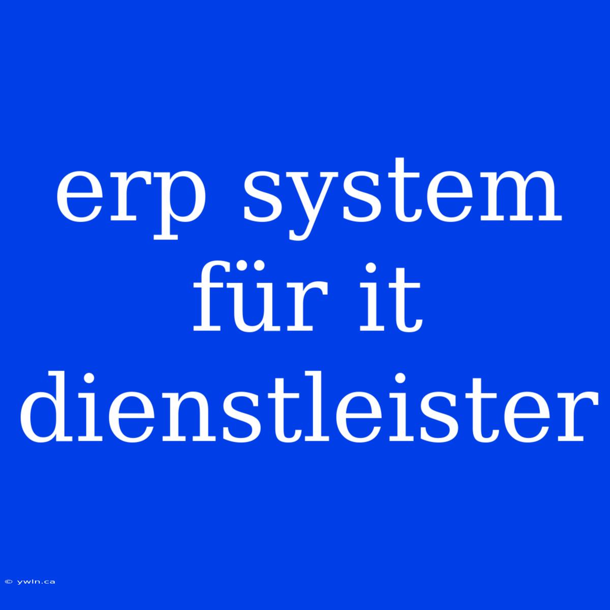 Erp System Für It Dienstleister