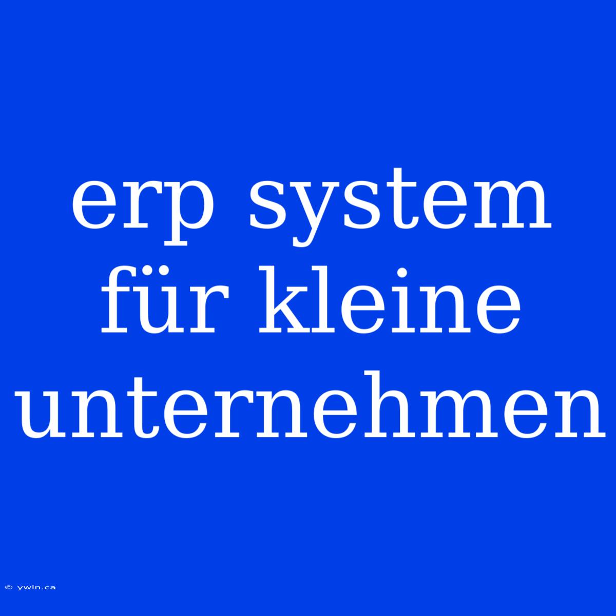 Erp System Für Kleine Unternehmen