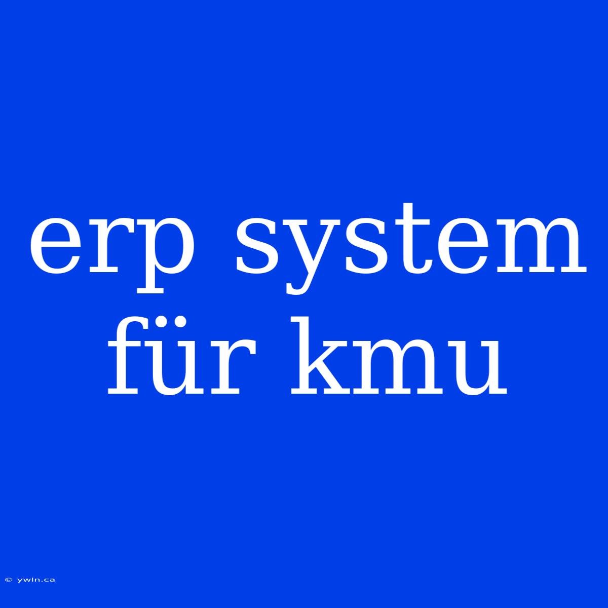 Erp System Für Kmu