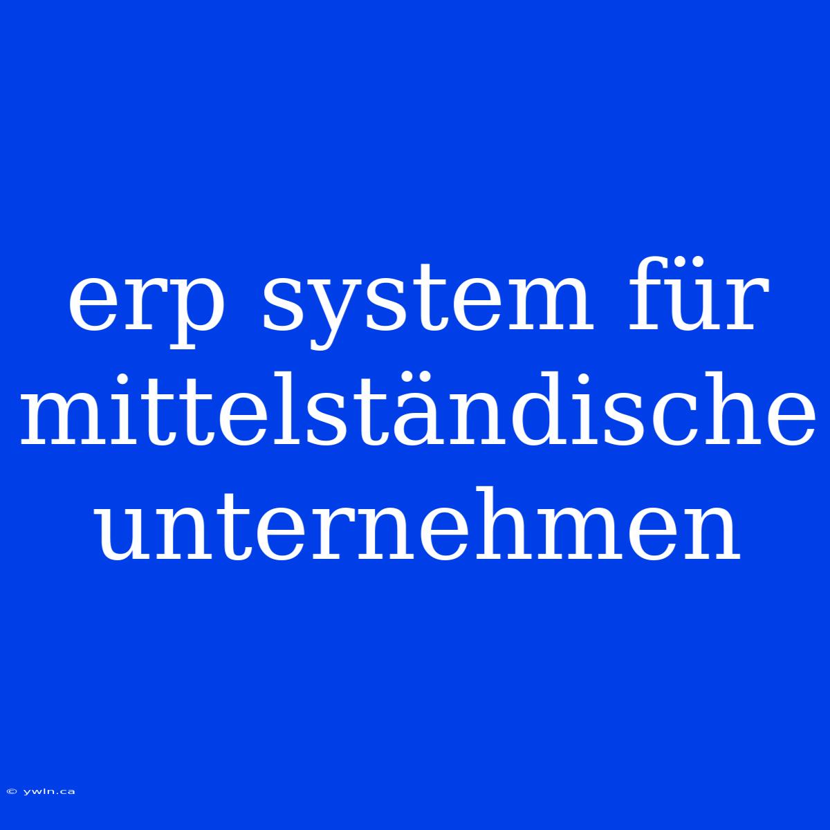 Erp System Für Mittelständische Unternehmen