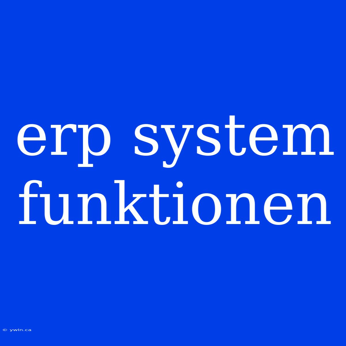 Erp System Funktionen