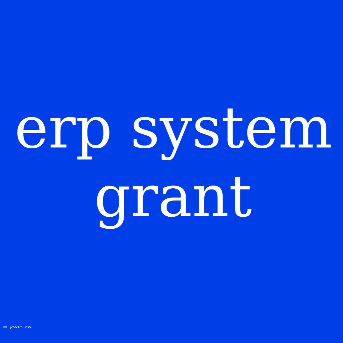 Erp System Grant