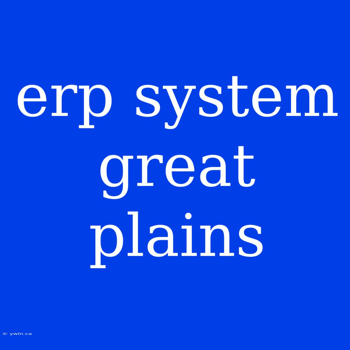 Erp System Great Plains