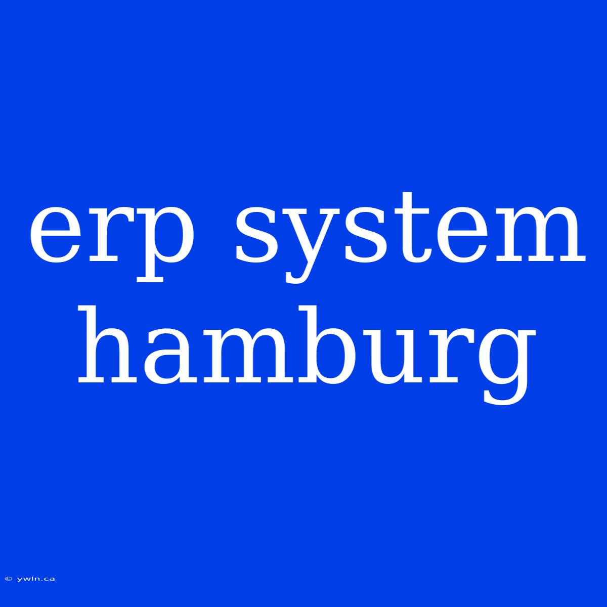 Erp System Hamburg