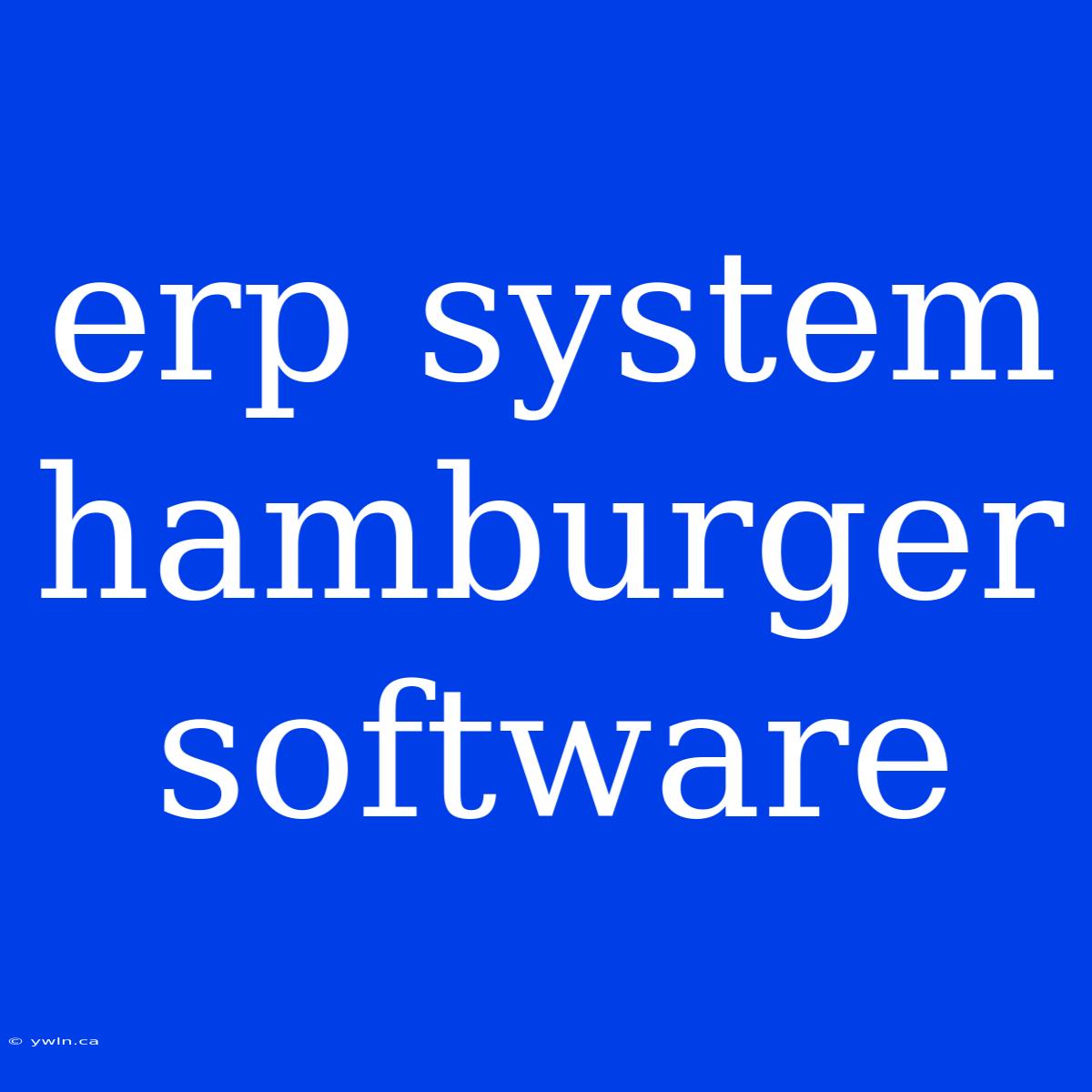 Erp System Hamburger Software