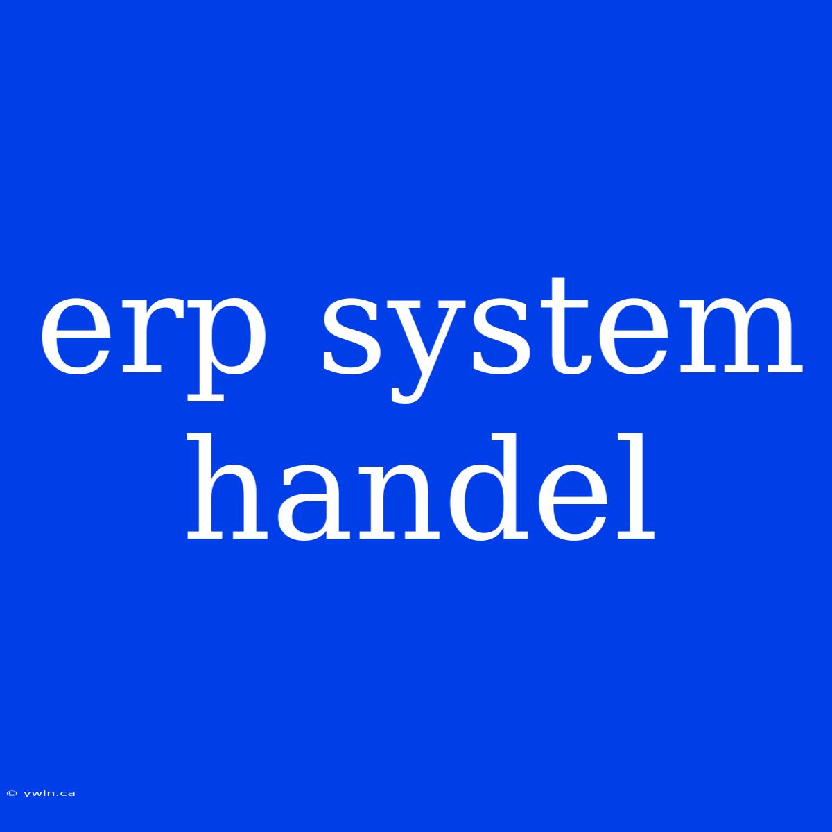 Erp System Handel