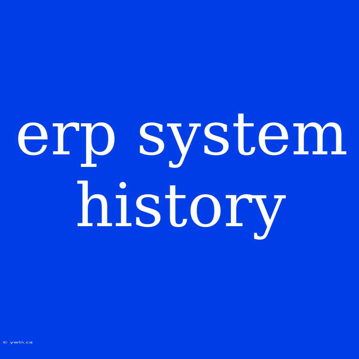 Erp System History