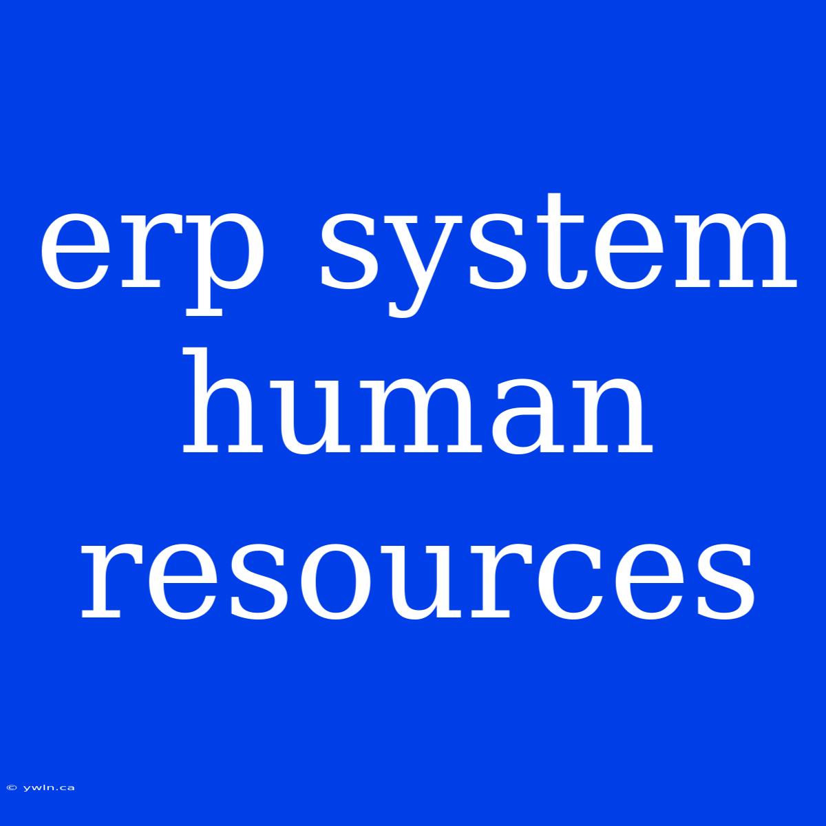 Erp System Human Resources