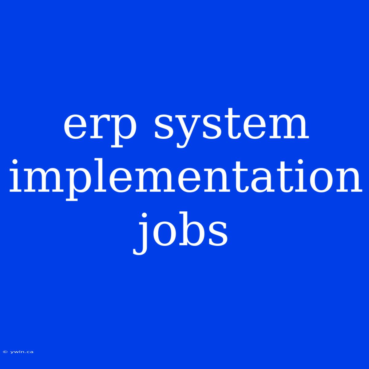 Erp System Implementation Jobs