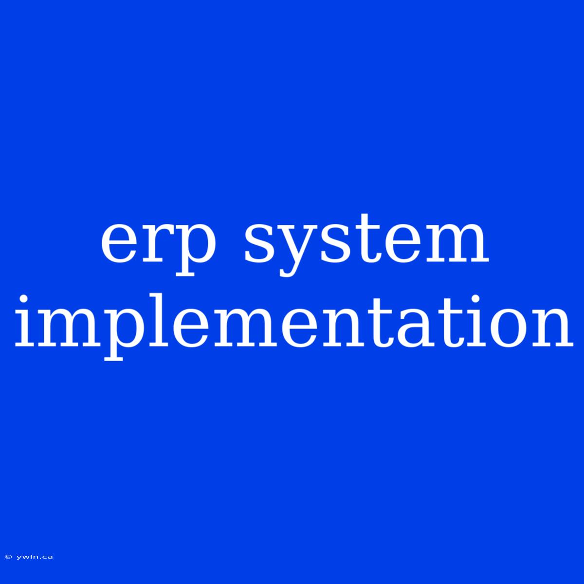 Erp System Implementation