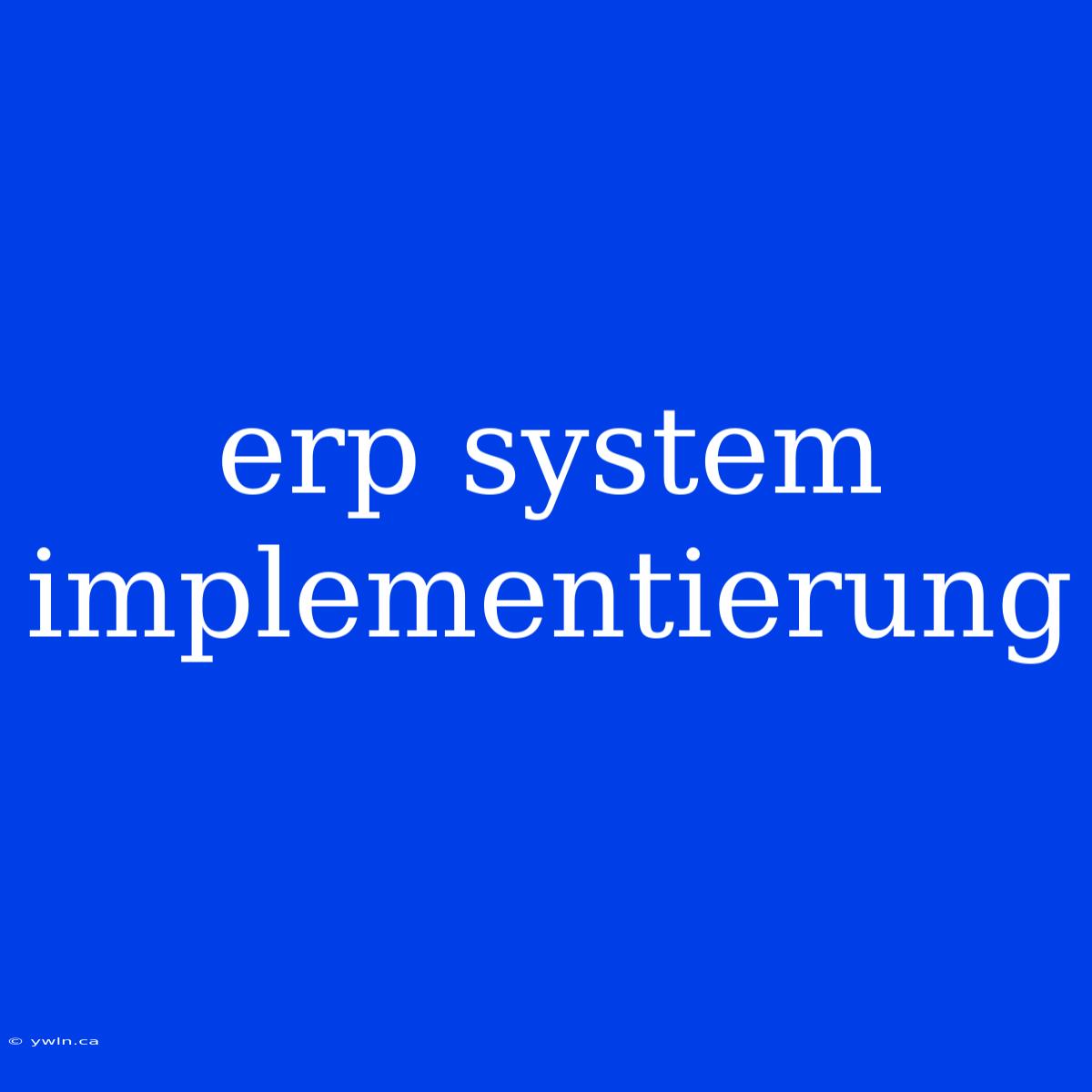 Erp System Implementierung