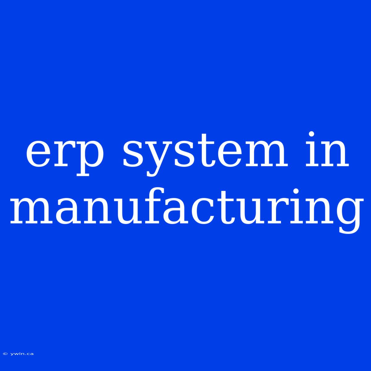 Erp System In Manufacturing